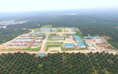 Sustainability Brief